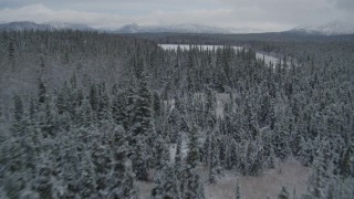 AK0001_0869 - 4K aerial stock footage flying over snow covered forest during winter toward center of Bench Lake, Alaska
