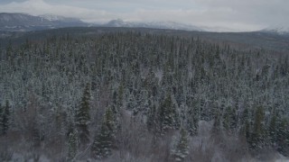 AK0001_0870 - 4K aerial stock footage approach forested shoreline, snow-capped distant mountains, Bench Lake, Alaska