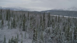 AK0001_0871 - 4K aerial stock footage flying over snow covered forest during winter, Matanuska River Valley, Alaska