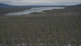 AK0001_0903 - 4K aerial stock footage flying over snow covered forest during winter approaching Twin Lakes, Alaska