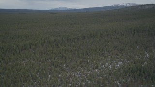 AK0001_0905 - 4K aerial stock footage flying over snow covered forest during winter, Alaskan Wilderness