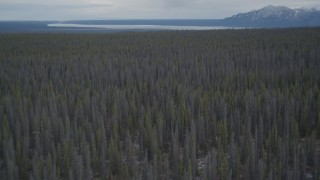 AK0001_0908 - 4K aerial stock footage flying over a snow covered forest during winter, Alaskan Wilderness