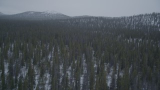 AK0001_0967 - 4K aerial stock footage flying over snow-covered, wooded hills, Alaskan Wilderness