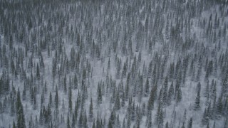AK0001_0969 - 4K aerial stock footage flying over snow-covered forests and wooded hills, Alaskan Wilderness