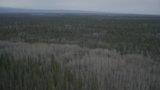 AK0001_0970 - 4K aerial stock footage flying over forests, during winter, Alaskan Wilderness