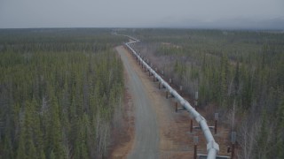 AK0001_0976 - 4K aerial stock footage flying low along pipeline through forest during winter, Trans-Alaska Pipeline, Alaska