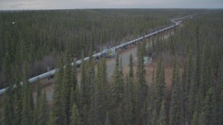 AK0001_0981 - 4K aerial stock footage flying low over forest during winter revealing Trans-Alaska Pipeline, Alaska