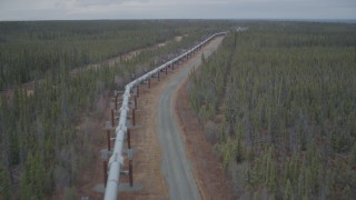 AK0001_0982 - 4K aerial stock footage following pipeline through forest, during winter, Trans-Alaska Pipeline, Alaska