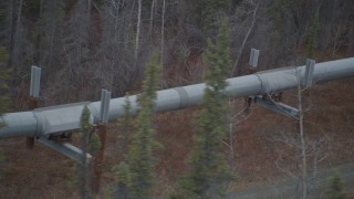 AK0001_0995 - 4K aerial stock footage a close-up view of the pipeline through trees during winter, Trans-Alaska Pipeline, Alaska