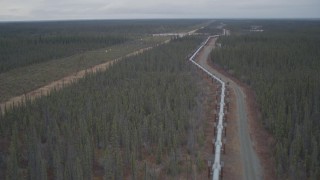 AK0001_1000 - 4K aerial stock footage pan across and fly over pipeline through forest during winter, Trans-Alaska Pipeline, Alaska