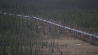AK0001_1002 - 4K aerial stock footage fly over power lines, trees during winter, approach Trans-Alaska Pipeline, Alaska