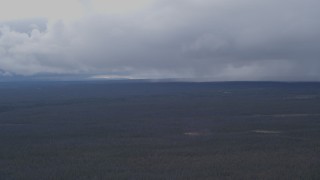 AK0001_1015 - 4K aerial stock footage flying over forest toward rain clouds, Alaskan Wilderness