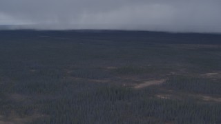 AK0001_1016 - 4K aerial stock footage tilt from evergreen forest to reveal rain clouds, Alaskan Wilderness