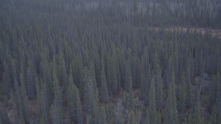 AK0001_1037 - 4K aerial stock footage flying away from trees in the Alaskan Wilderness