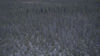 AK0001_1038 - 4K aerial stock footage flying away from wetlands over snow covered forest, Alaskan Wilderness