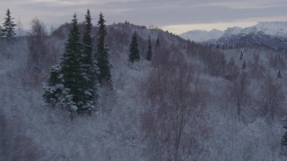 AK0001_1097 - 4K aerial stock footage flying over snowy, wooded hills toward Talkeetna Mountains, Alaskan Wilderness