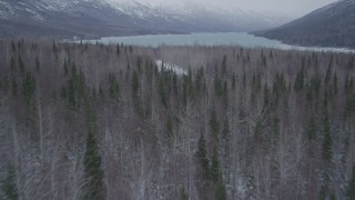 AK0001_1183 - 4K aerial stock footage descending toward snow covered tree line, flying toward Eklutna Lake, Alaska