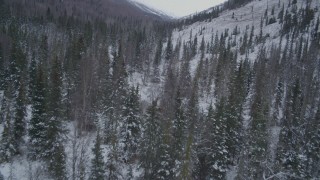 AK0001_1191 - 4K aerial stock footage flying over snowy, wooded valley and river, Chugach Mountains, Alaska