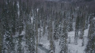 AK0001_1192 - 4K aerial stock footage flying low over snow covered forests revealing a river, Chugach Mountains, Alaska