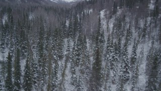 AK0001_1195 - 4K aerial stock footage flying over snowy, wooded valley revealing river, Chugach Mountains, Alaska