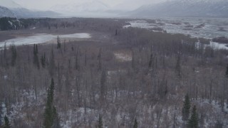 AK0001_1223 - 4K aerial stock footage flying over snow covered forest toward frozen lake, Knik River Valley, Alaska
