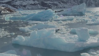 AK0001_1441 - 4K aerial stock footage glacial ice on Inner Lake George, Alaska in snow