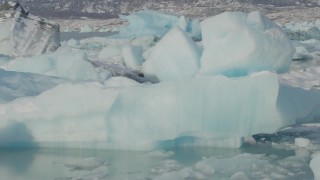 AK0001_1459 - 4K aerial stock footage flying over pieces of glacial ice on Inner Lake George, Alaska in snow