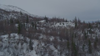 AK0001_1483 - 4K aerial stock footage flying over wooded, snowy slopes of Chugach Mountains, Alaska