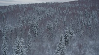 AK0001_1533 - 4K aerial stock footage flying low over snow covered wooded slopes revealing Chugach Mountains, Alaska