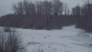 AK0001_1581 - 4K aerial stock footage video flying over a cluster of trees, revealing snow covered Knik River Valley, Alaska