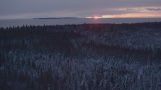 AK0001_1674 - 4K aerial stock footage flying over snow covered forest on Point MacKenzie at sunset, Alaska