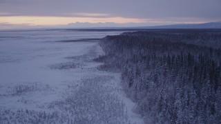 AK0001_1696 - 4K aerial stock footage flying over frozen, snowy ground, two moose at twilight, Point MacKenzie, Alaska