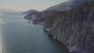 AK0001_1839 - 4K aerial stock footage flying along snowy, wooded shore of Port Wells, Alaska