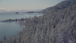 AK0001_1844 - 4K aerial stock footage flying over snow covered wooded hills along shore of Port Wells, Alaska