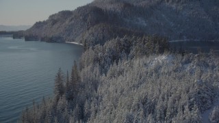 AK0001_1845 - 4K aerial stock footage following snowy, wooded shore by Harrison Lagoon, Port Wells, Alaska