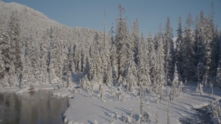 AK0001_1847 - 4K aerial stock footage ascend snow covered, wooded shore reveal mountain peaks, Port Wells, Alaska