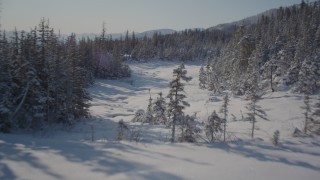 AK0001_1856 - 4K aerial stock footage ascending a snowy slope revealing clearing and woods, Port Wells, Alaska
