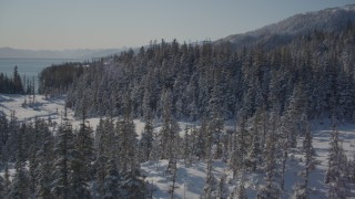 AK0001_1857 - 4K aerial stock footage flying over frosty, snowy clearing and trees, Port Wells, Alaska