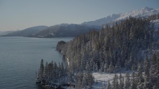 AK0001_1866 - 4K aerial stock footage flying along snowy, wooded shore of Port Wells, Alaska