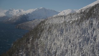 AK0001_1902 - 4K aerial stock footage flying along snow covered forested slopes along shore of Passage Canal, Alaska