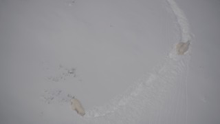 AK0001_1945 - 4K aerial stock footage mountain goats trekking in the snow, Chugach Mountains, Alaska