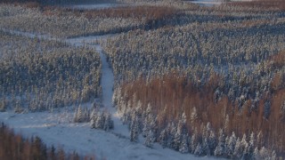 AK0001_2040 - 4K aerial stock footage flying over snowy wooded shore of Point MacKenzie, Alaska