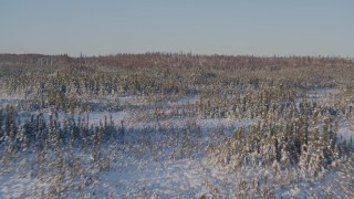 AK0001_2043 - 4K aerial stock footage flying over snowy forest and clearings in Point MacKenzie, Alaska