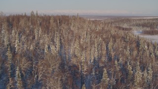 AK0001_2051 - 4K aerial stock footage flying over snowy wooded hill in Big Lake Area, Alaska