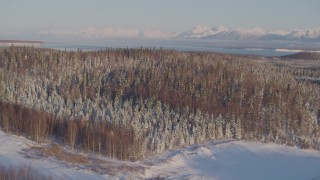 AK0001_2052 - 4K aerial stock footage flying by snowy wooded hills in Big Lake Area, Alaska