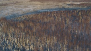 AK0001_2061 - 4K aerial stock footage fly over snowy forest, frozen ground in Knik-Fairview at sunset, Alaska