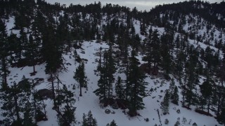 AX0008_028E - 5K aerial stock footage pan across evergreen trees in the San Gabriel Mountains with winter snow at twilight, California