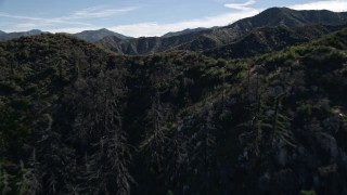 AX0009_026E - 5K aerial stock footage approach and fly over tree-lined mountain ridge in the San Gabriel Mountains, California