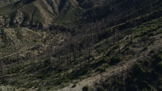 AX0009_028 - 5K aerial stock footage of leafless trees in the San Gabriel Mountains, California