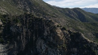 AX0009_044 - 5K aerial stock footage video of dead trees on mountain slope in the San Gabriel Mountains, California